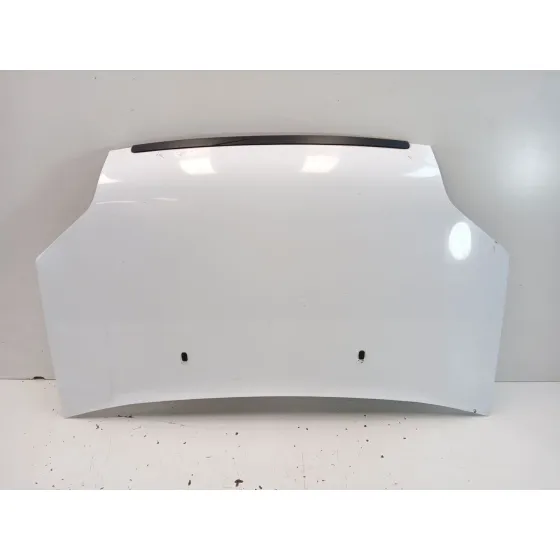 Capot para Ford Transit Connect (P65_, P70_, P80_)