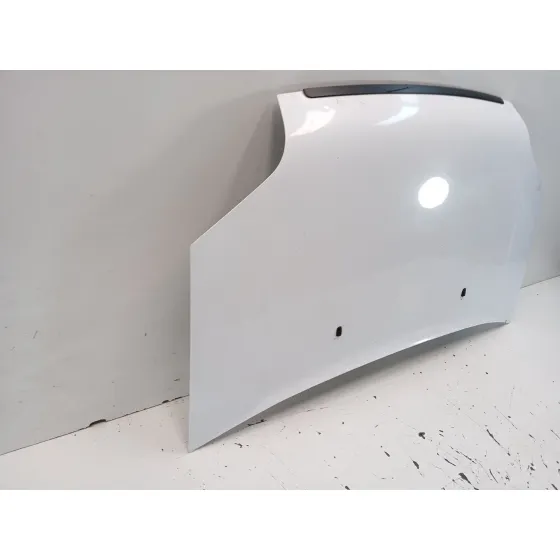 Capot para Ford Transit Connect (P65_, P70_, P80_)