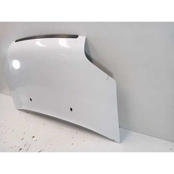 Capot para Ford Transit Connect (P65_, P70_, P80_)