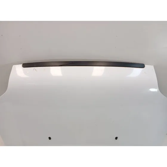 Capot para Ford Transit Connect (P65_, P70_, P80_)