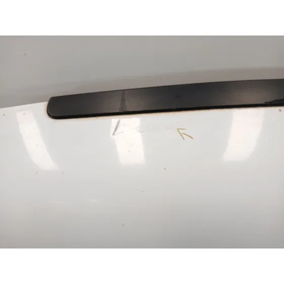 Capot para Ford Transit Connect (P65_, P70_, P80_)