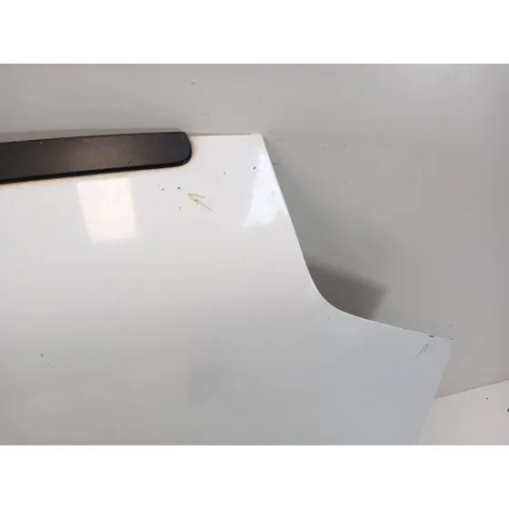 Capot para Ford Transit Connect (P65_, P70_, P80_)