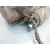 Motor Arranque para Smart Forfour