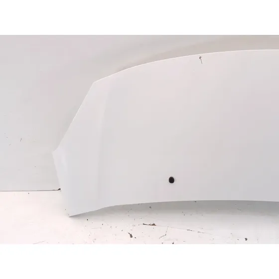 Capot para Citroën C3 Ii (Sc_)