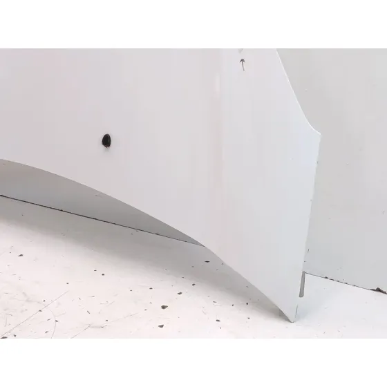 Capot para Citroën C3 Ii (Sc_)