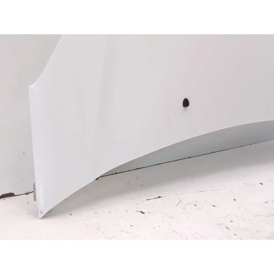 Capot para Citroën C3 Ii (Sc_)