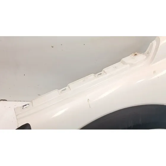 Aleta Delantera Izquierda para Land Rover Freelander I (L314)