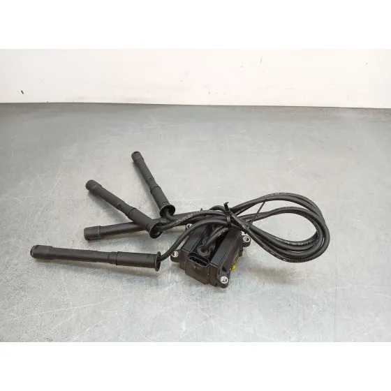 Bobina Encendido para Renault Clio Iii (Br0/1, Cr0/1)