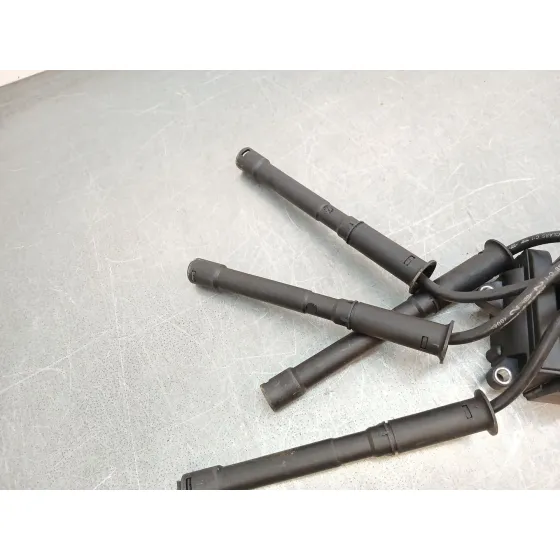 Bobina Encendido para Renault Clio Iii (Br0/1, Cr0/1)