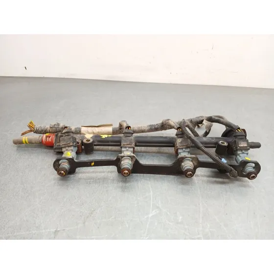 Rampa Inyectora para Land Rover Freelander I (L314)