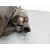 Motor Arranque para Kia Ceed (Cd)