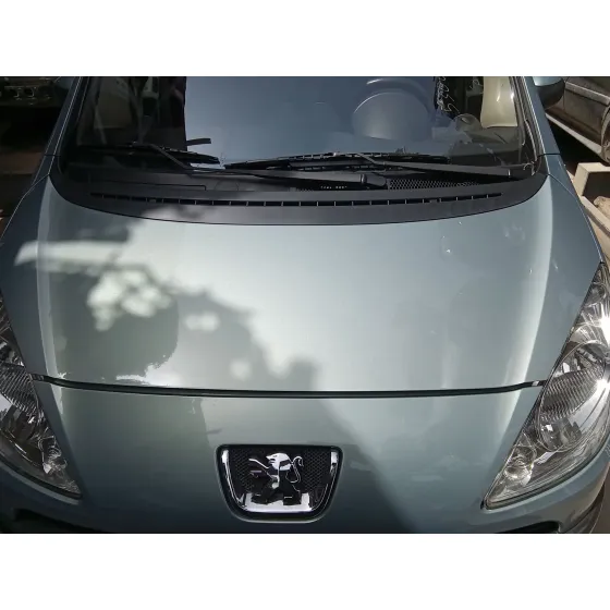 Capot para Peugeot 1007 (Km_)