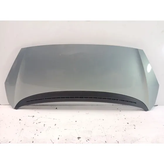 Capot para Peugeot 1007 (Km_)