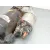 Motor Arranque para Citroën C3 I (Fc_, Fn_)