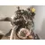 Motor Completo para Citroën C3 I (Fc_, Fn_)