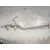 Catalizador para Mazda Cx-5 (Kf)