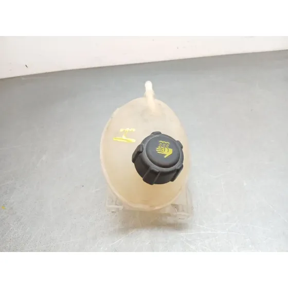 Deposito Expansion para Renault Clio Iv (Bh_)