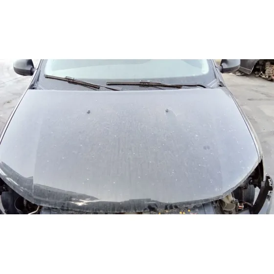 Capot para Dacia Sandero Ii (B8_)