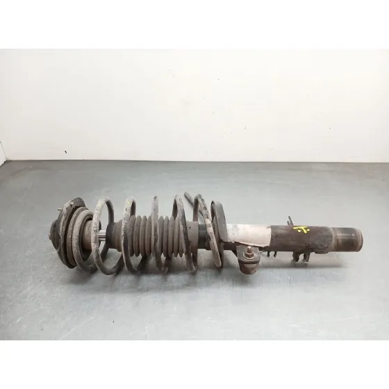 Amortiguador Delantero Izquierdo para Citroën C3 I (Fc_, Fn_)