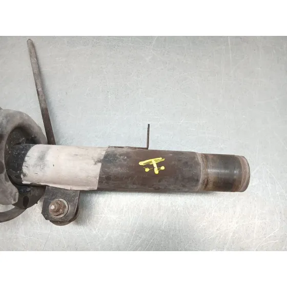 Amortiguador Delantero Izquierdo para Citroën C3 I (Fc_, Fn_)