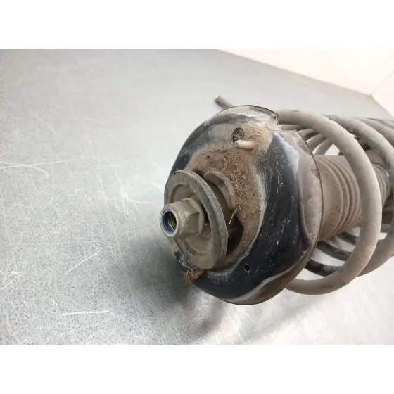 Amortiguador Delantero Izquierdo para Citroën C3 I (Fc_, Fn_)