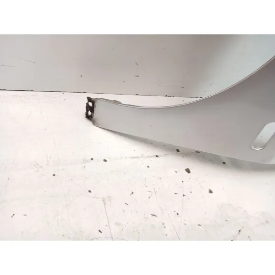 Aleta Delantera Izquierda para Seat Ibiza Iii (6L1)