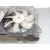 Electroventilador para Toyota Avensis Sedan (_T25_)