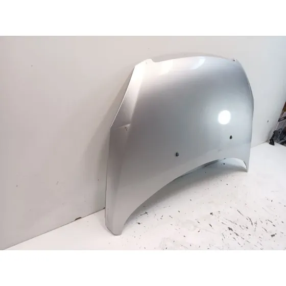 Capot para Peugeot 307 (3A/C)