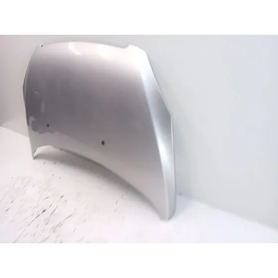 Capot para Peugeot 307 (3A/C)
