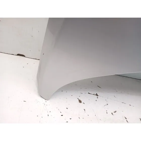 Capot para Peugeot 307 (3A/C)