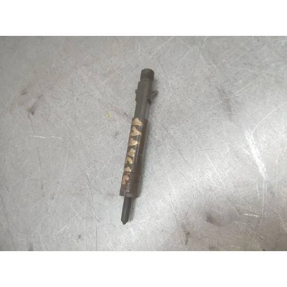 Inyector para Ford Focus I (Daw, Dbw)