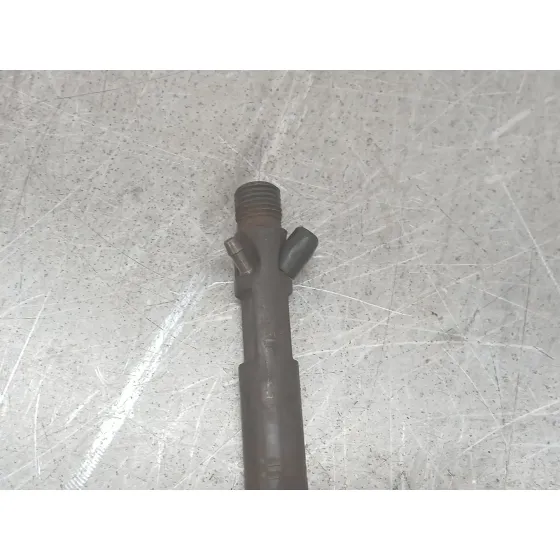 Inyector para Ford Focus I (Daw, Dbw)