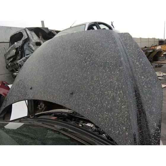 Capot para Peugeot 308 I (4A_, 4C_)