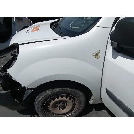 Aleta Delantera Izquierda para Renault Kangoo Express (Fw0/1_)