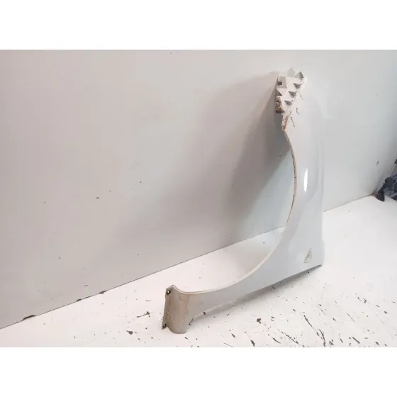 Aleta Delantera Izquierda para Renault Kangoo Express (Fw0/1_)