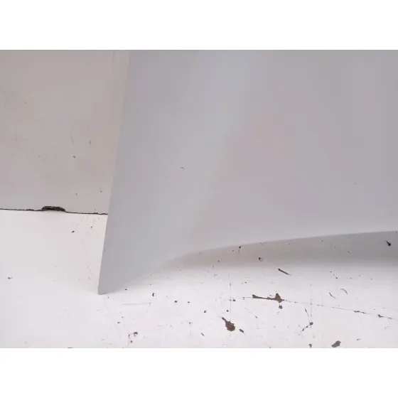 Capot para Renault Kangoo Express (Fw0/1_)