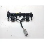 Rampa Inyectora para Peugeot 307 Cc (3B)