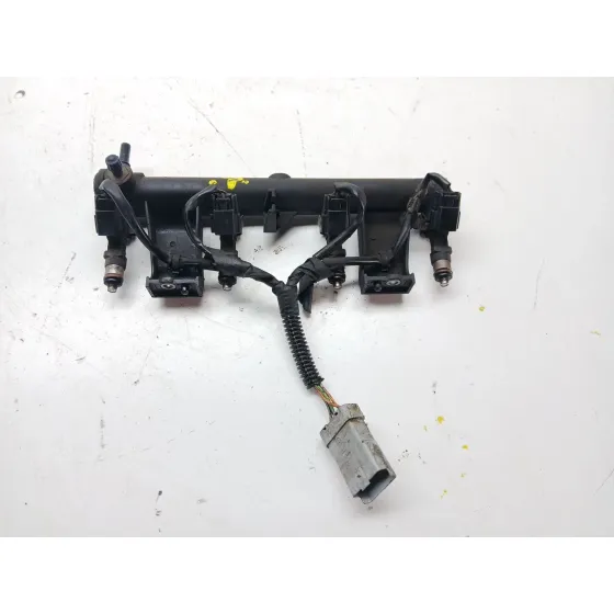 Rampa Inyectora para Peugeot 307 Cc (3B)