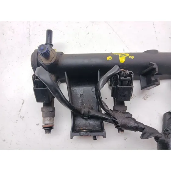 Rampa Inyectora para Peugeot 307 Cc (3B)