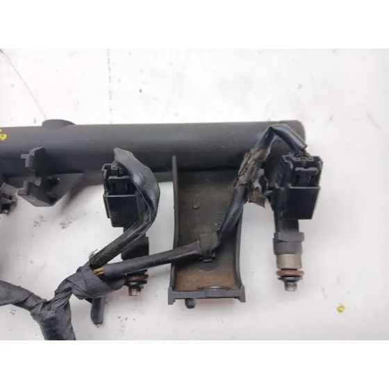 Rampa Inyectora para Peugeot 307 Cc (3B)