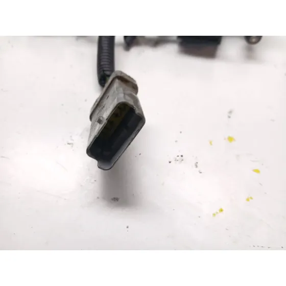 Rampa Inyectora para Peugeot 307 Cc (3B)