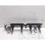 Rampa Inyectora para Ford Fiesta (Cbk)