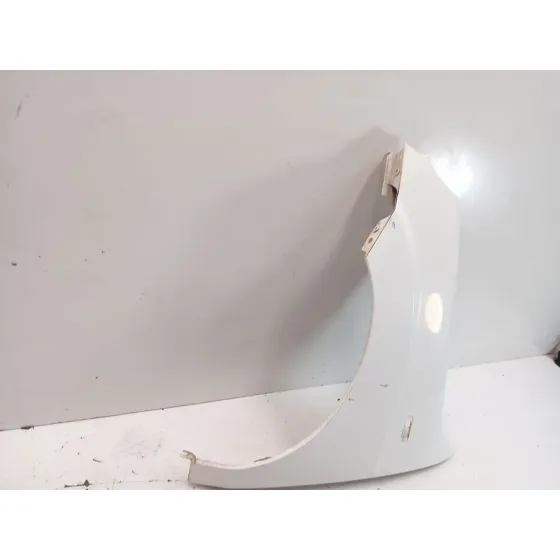 Aleta Delantera Izquierda para Fiat Doblo Monospace (119_, 223_)