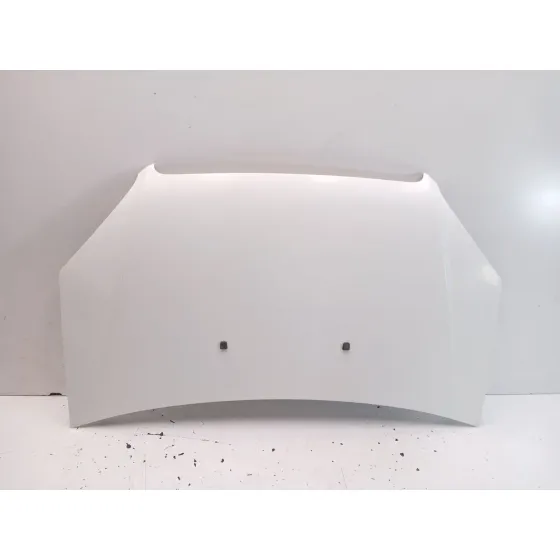 Capot para Fiat Doblo Monospace (119_, 223_)