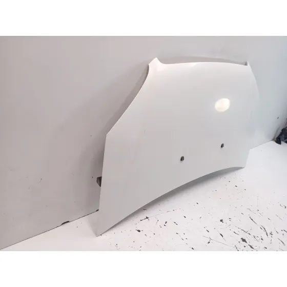 Capot para Fiat Doblo Monospace (119_, 223_)