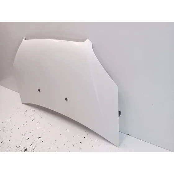 Capot para Fiat Doblo Monospace (119_, 223_)