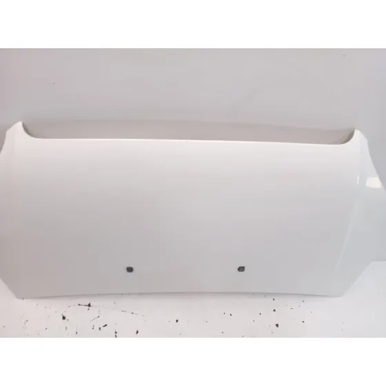 Capot para Fiat Doblo Monospace (119_, 223_)