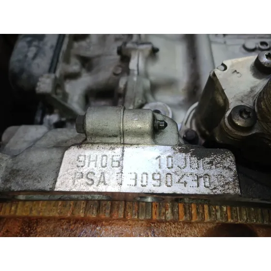 Motor Completo para Citroën Berlingo Multispace (B9)