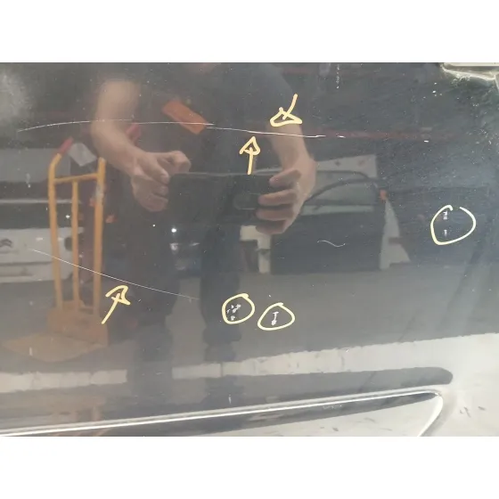 Puerta Trasera Izquierda para Opel Zafira / Zafira Family B (A05)