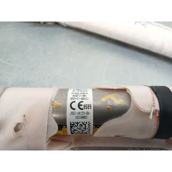Airbag Cortina Delantero Derecho para Jaguar I-Pace (X590)